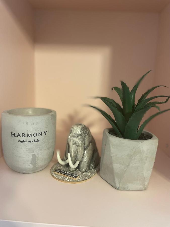 Harmony Apartman Доньи-Милановац Экстерьер фото